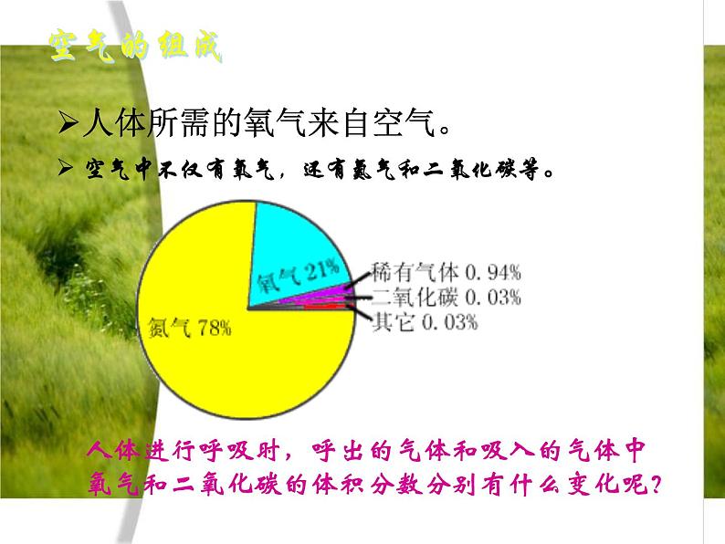 苏教版生物七年级下册 第十章 第四节 人体内的气体交换（课件）第2页