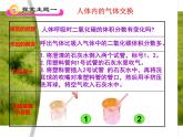 苏教版生物七年级下册 第十章 第四节 人体内的气体交换（课件）