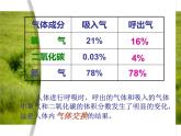 苏教版生物七年级下册 第十章 第四节 人体内的气体交换（课件）