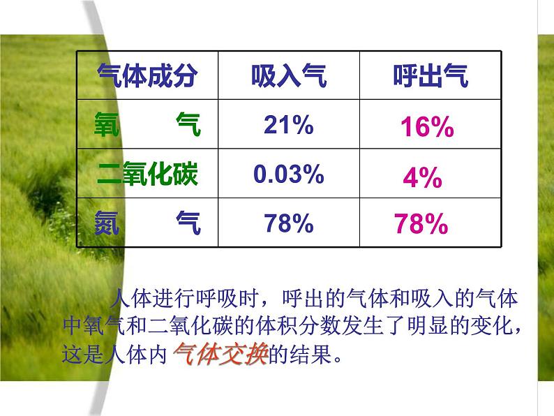 苏教版生物七年级下册 第十章 第四节 人体内的气体交换（课件）第5页