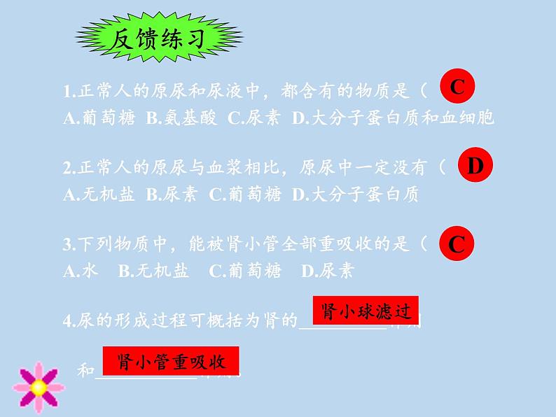 苏教版生物七年级下册 第十一章 第二节 人体废物的排出(6)（课件）第7页