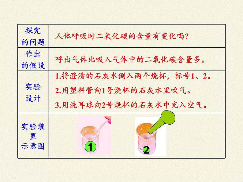 苏教版生物七年级下册 第十章 第四节 人体内的气体交换(7)（课件）第6页