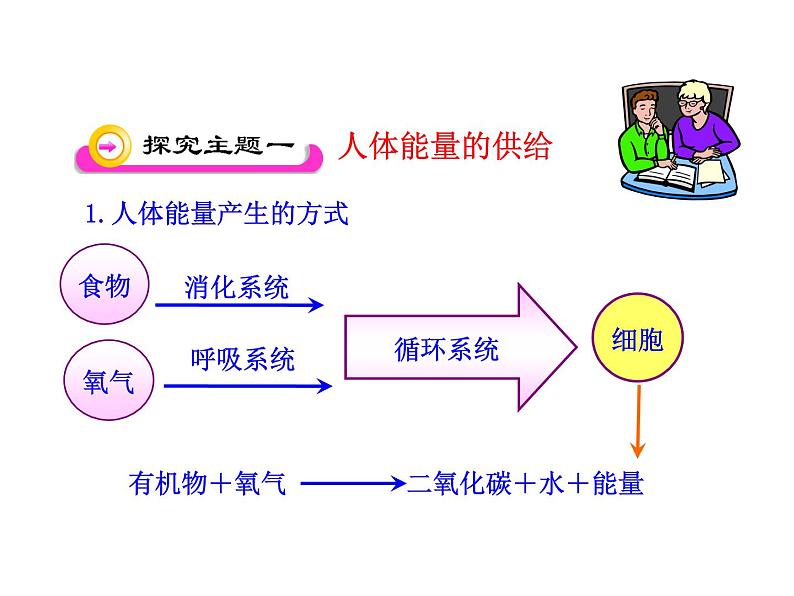 苏教版生物七年级下册 第十章 第五节 人体能量的供给_1（课件）第4页