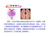 苏教版生物七年级下册 第十一章 第一节 人体泌尿系统的组成_1（课件）