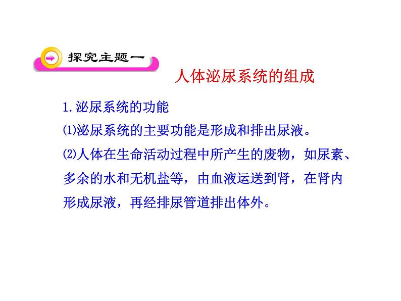 苏教版生物七年级下册 第十一章 第一节 人体泌尿系统的组成_1（课件）第4页