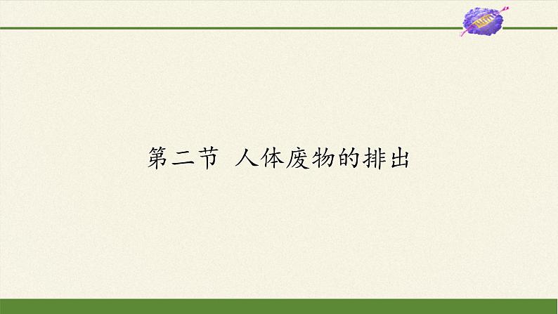 苏教版生物七年级下册 第十一章 第二节 人体废物的排出(11)（课件）01