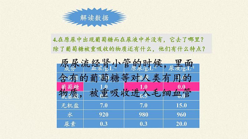 苏教版生物七年级下册 第十一章 第二节 人体废物的排出(11)（课件）05