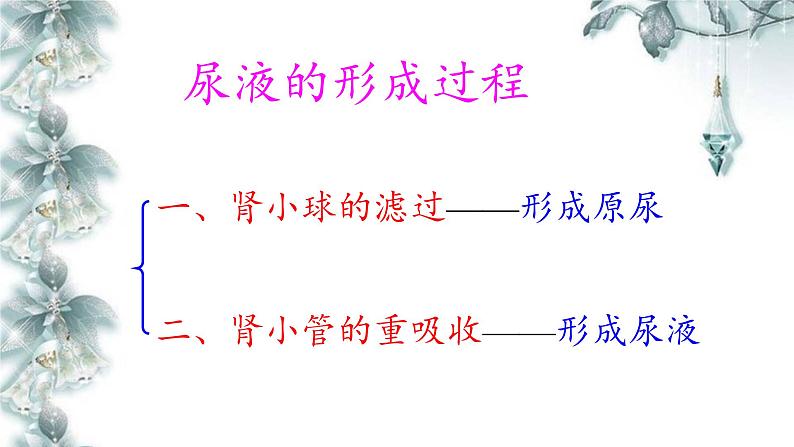 苏教版生物七年级下册 第十一章 第二节 人体废物的排出(11)（课件）08