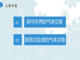 苏教版生物七年级下册 第十章 第四节 人体内的气体交换(11)（课件）