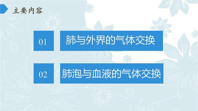 苏教版生物七年级下册 第十章 第四节 人体内的气体交换(11)（课件）第3页