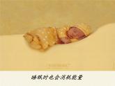 苏教版生物七年级下册 第十章 第五节 人体能量的供给(3)（课件）