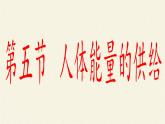 苏教版生物七年级下册 第十章 第五节 人体能量的供给(3)（课件）