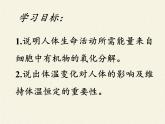 苏教版生物七年级下册 第十章 第五节 人体能量的供给(3)（课件）