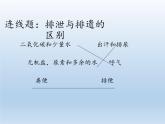 苏教版生物七年级下册 第十一章 第二节 人体废物的排出(7)（课件）