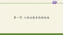 初中生物苏教版七年级下册第4单元 生物圈中的人第11章 人体内的废物排人环境第一节 人体泌尿系统的组成教学演示ppt课件