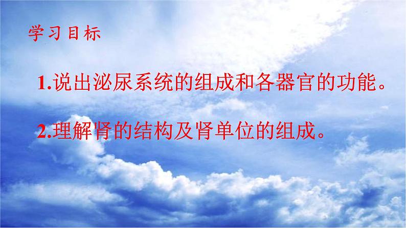 苏教版生物七年级下册 第十一章 第一节 人体泌尿系统的组成(5)（课件）第4页