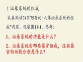 苏教版生物七年级下册 第十一章 第一节 人体泌尿系统的组成(5)（课件）