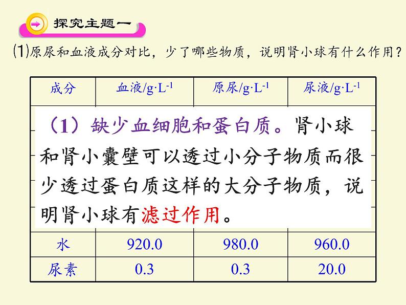 苏教版生物七年级下册 第十一章 第二节 人体废物的排出(2)（课件）07