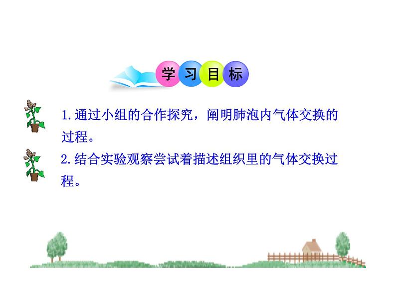 苏教版生物七年级下册 第十章 第四节 人体内的气体交换_1（课件）03