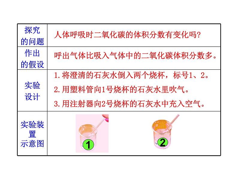 苏教版生物七年级下册 第十章 第四节 人体内的气体交换_1（课件）05