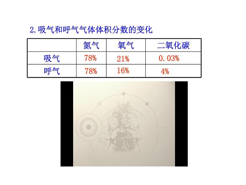 苏教版生物七年级下册 第十章 第四节 人体内的气体交换_1（课件）07