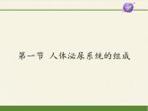 苏教版生物七年级下册 第十一章 第一节 人体泌尿系统的组成（课件）