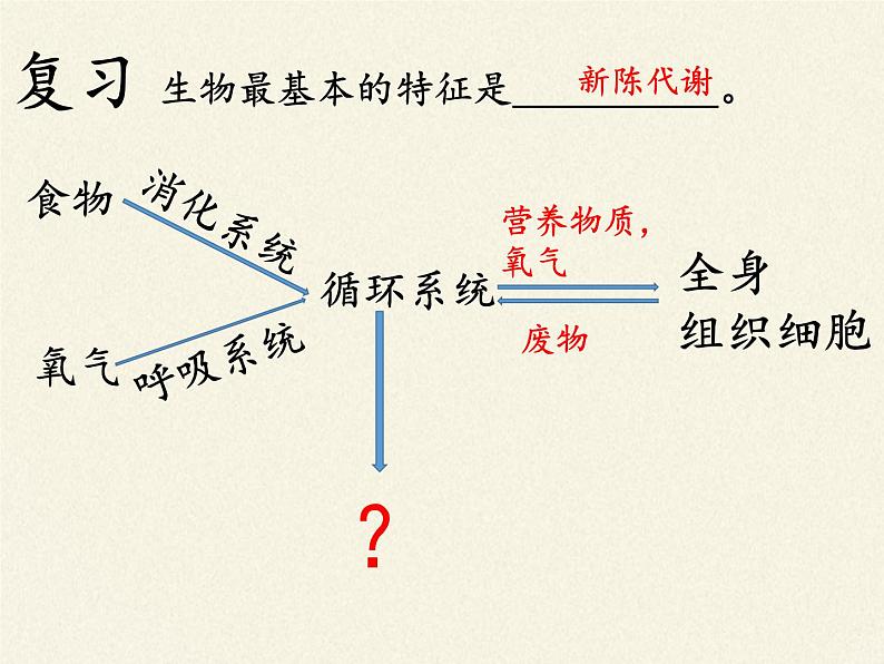 苏教版生物七年级下册 第十一章 第一节 人体泌尿系统的组成（课件）第2页