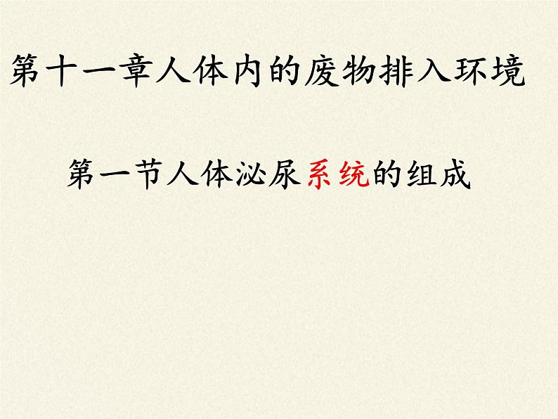 苏教版生物七年级下册 第十一章 第一节 人体泌尿系统的组成（课件）第3页