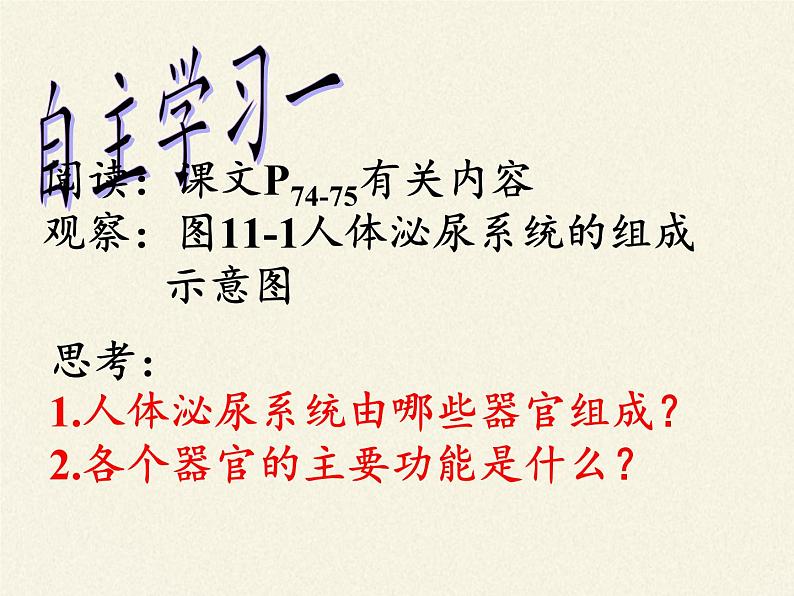 苏教版生物七年级下册 第十一章 第一节 人体泌尿系统的组成（课件）第4页