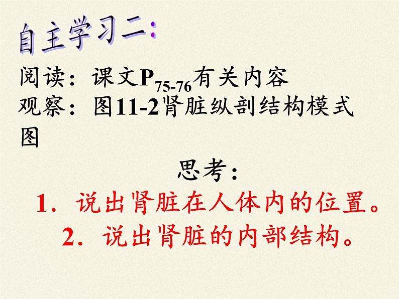 苏教版生物七年级下册 第十一章 第一节 人体泌尿系统的组成（课件）第7页