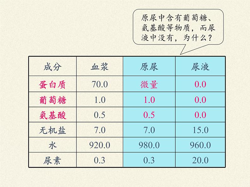 苏教版生物七年级下册 第十一章 第二节 人体废物的排出(12)（课件）04