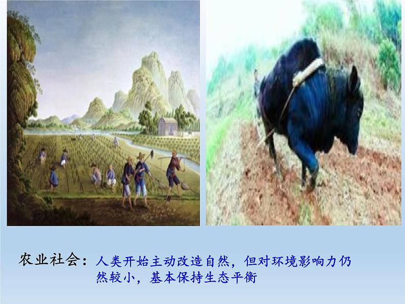 苏教版生物七年级下册 第十三章 第二节 保护生物圈——从自身做起(3)（课件）第5页