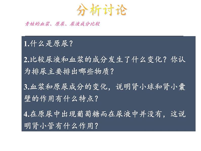 苏教版生物七年级下册 第十一章 第二节 人体废物的排出(5)（课件）05