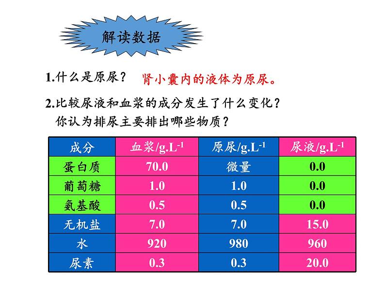 苏教版生物七年级下册 第十一章 第二节 人体废物的排出(5)（课件）06