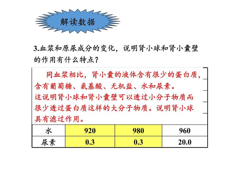 苏教版生物七年级下册 第十一章 第二节 人体废物的排出(5)（课件）07