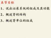 苏教版生物七年级下册 第十一章 第一节 人体泌尿系统的组成(4)（课件）