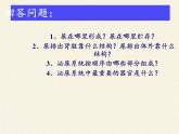 苏教版生物七年级下册 第十一章 第二节 人体废物的排出(14)（课件）