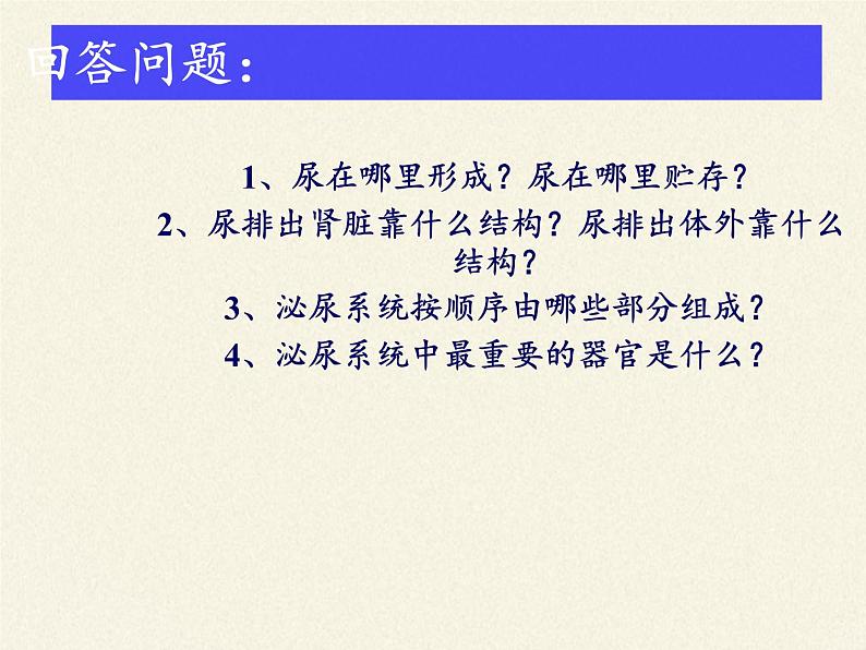 苏教版生物七年级下册 第十一章 第二节 人体废物的排出(14)（课件）第4页