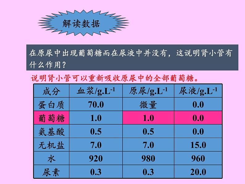 苏教版生物七年级下册 第十一章 第二节 人体废物的排出(14)（课件）第8页