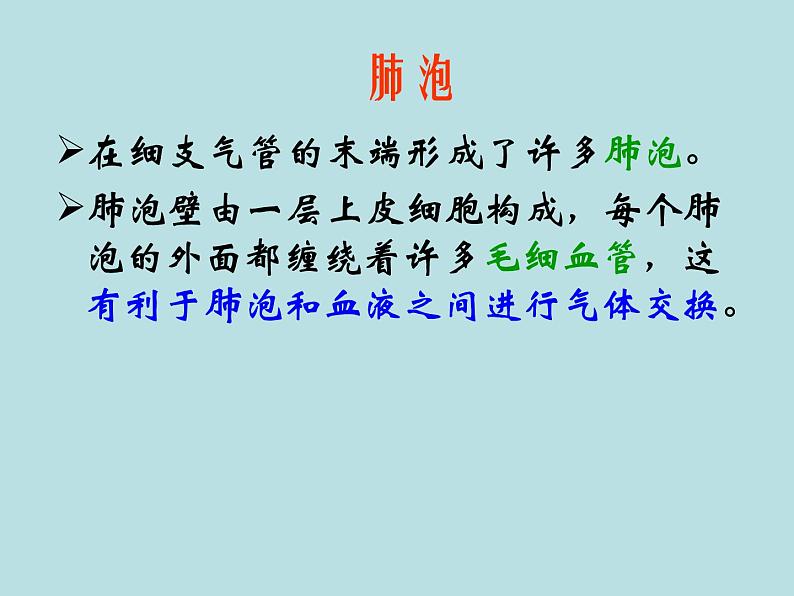 苏教版生物七年级下册 第十章 第三节 人体和外界环境的气体交换_1（课件）07