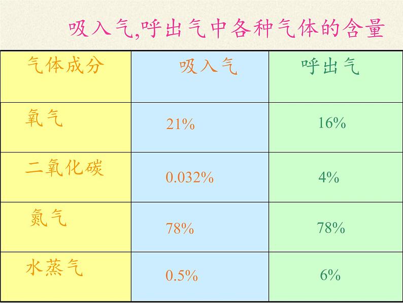 苏教版生物七年级下册 第十章 第四节 人体内的气体交换(6)（课件）第5页