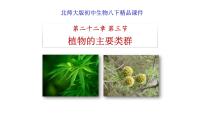 初中生物北师大版八年级下册第3节  植物的主要类群教学课件ppt