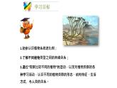 北师大版生物八年级下册第22章 《物种的多样性》22.3 植物的主要类群 教学PPT课件