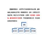 北师大版生物八年级下册第22章 《物种的多样性》22.3 植物的主要类群 教学PPT课件