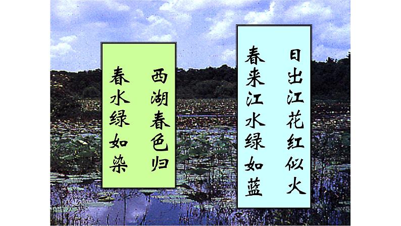 北师大版生物八年级下册第22章 《物种的多样性》22.3 植物的主要类群 教学PPT课件第6页