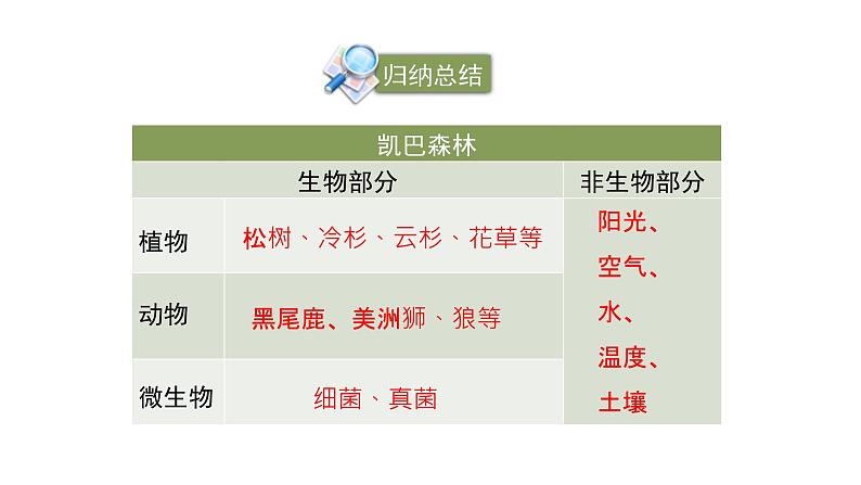 北师大版生物八年级下册第23章 《生态系统及其稳定性》23.2 生态系统概述  教学PPT课件08