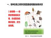 北师大版生物八年级下册第23章 《生态系统及其稳定性》23.3 生态系统的结构和功能  教学PPT课件
