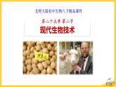 北师大版生物八年级下册第25章 《生物技术》25.2 现代生物技术 教学PPT课件发酵技术