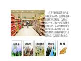 北师大版生物八年级下册第22章 《物种的多样性》22.1 生物的分类 教学PPT课件