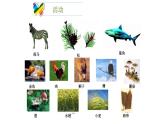 北师大版生物八年级下册第22章 《物种的多样性》22.1 生物的分类 教学PPT课件